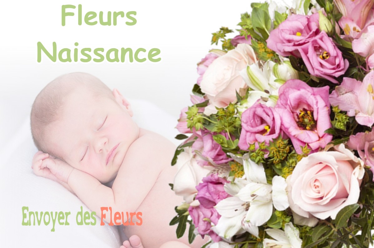 lIVRAISON FLEURS NAISSANCE à DAX